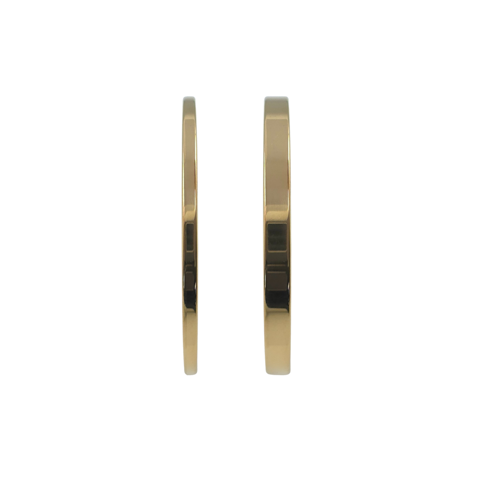 Bangle set - Roestvrij staal - 4 mm en 6 mm